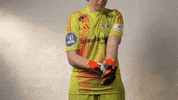 Football Soccer GIF by RBK