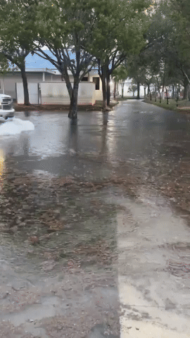Heavy Rain Causes Flash Flooding in Cape Coral