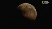 mars GIF by National Geographic Channel