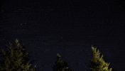 Stars GIF