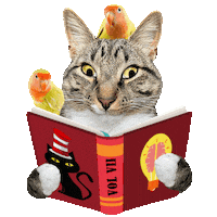 Book Club Lets Read Sticker