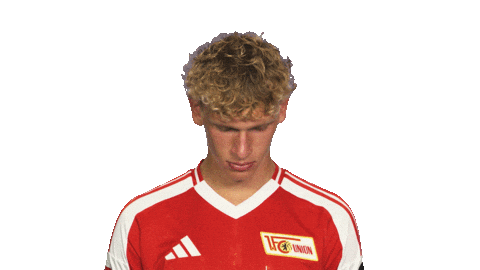 Look Up Union Berlin Sticker by Bundesliga