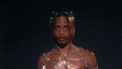 Beyonce Renaissance GIF by Damez