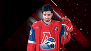 HClokomotiv loko lokomotiv локомотив локо GIF