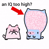 Cat Nub GIF