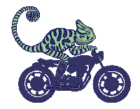 Lizard Motorbike Sticker