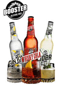 Brasimba beer chill simba cider Sticker