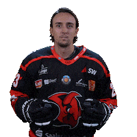 Happy Hockey Sticker by Saale Bulls