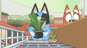 GIF by Bluey