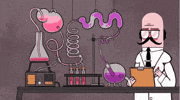 Test Experiment GIF