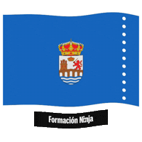 Flag Spain Sticker by Formación Ninja