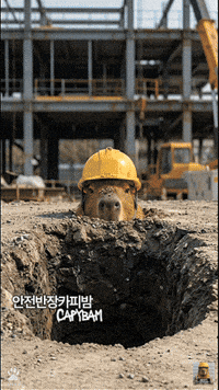 Stay Capybara GIF