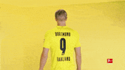 Happy Borussia Dortmund GIF by Bundesliga