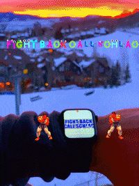 brettlschlacter fight GIF