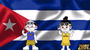 Che Guevara Flag GIF by Zhotcita
