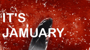 January 1 Month GIF by Sealed With A GIF