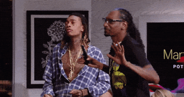 Martha And Snoop GIF by VH1
