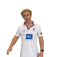 Ball Bat Sticker by Somerset County Cricket Club
