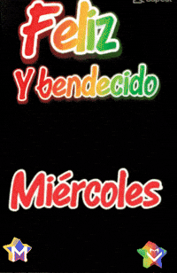 Sea Flores GIF by Murcianys LLC