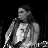 Indierock Forgetmenots GIF by Habama Music