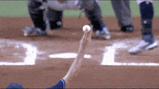 Giancarlo Stanton Yankees GIF by Jomboy Media