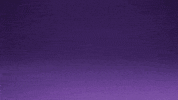 Winston Chameleon GIF by Zack Kantor