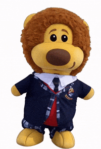 Surprised GIF by colegioroth