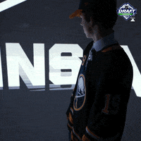 nhl sports sport hockey nhl GIF