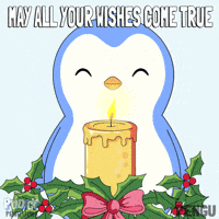 Happy Birthday Penguin GIF by Pudgy Penguins