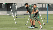 Real Betis Guardado GIF by Real Betis Balompié