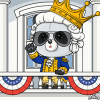 George Washington Usa GIF by PandaPals