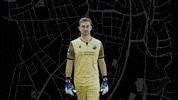 Svs1916 GIF by SV Sandhausen