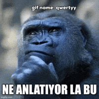 Ne Goril GIF