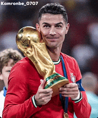 World Cup Argentina GIF