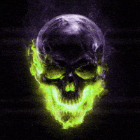 krillwill0 skull flaming skull krillwill older brother core GIF
