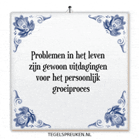 Nl Verandering GIF by Tegelspreuken.nl
