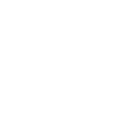 Basicotododia flor basico basicotododia seja basica Sticker