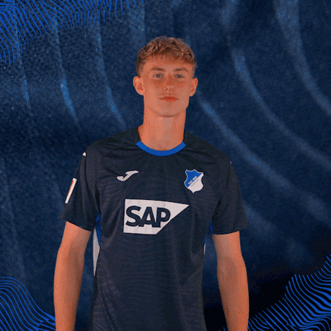 Sport Bundesliga GIF by TSG Hoffenheim