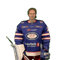 Keeper Joona Sticker by VIF Hockey