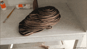 art making GIF by sameerhazari