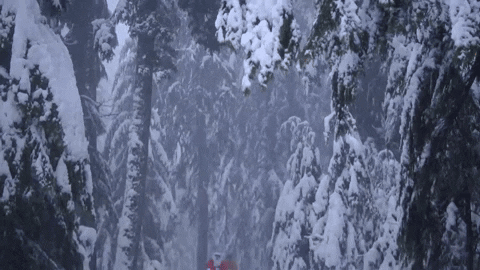 Santa Claus Snow GIF by IFHT Films