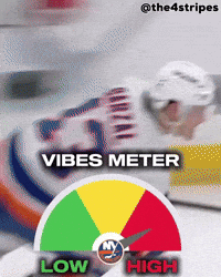 Hockey Vibes GIF