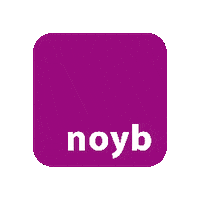 Privacy Schrems Sticker by noyb
