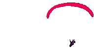 Nova Paragliding Sticker