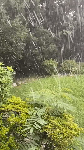 Intense Hail Hits Long Island Amid Severe Thunderstorm Watch