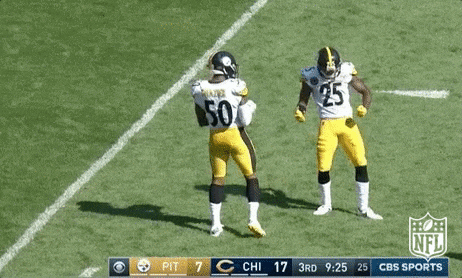 Pittsburgh Steelers Football GIF by NFL
