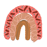 Rainbow Boho Sticker