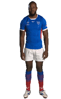 Namibia Rugby Sticker by Rugby World Cup