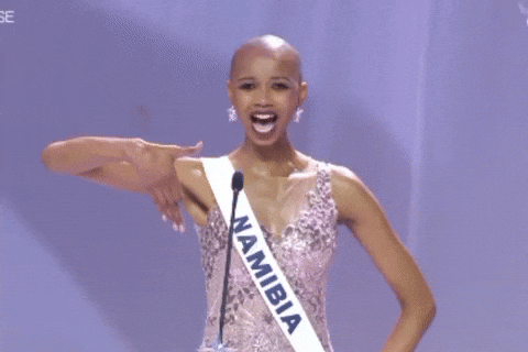 Miss Universe Namibia GIF