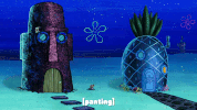 season 9 episode 21 GIF by SpongeBob SquarePants